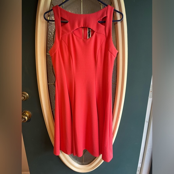 Julian Taylor Dresses & Skirts - Coral Dress